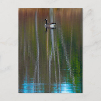 Cartão Postal Venha ver o que vemos