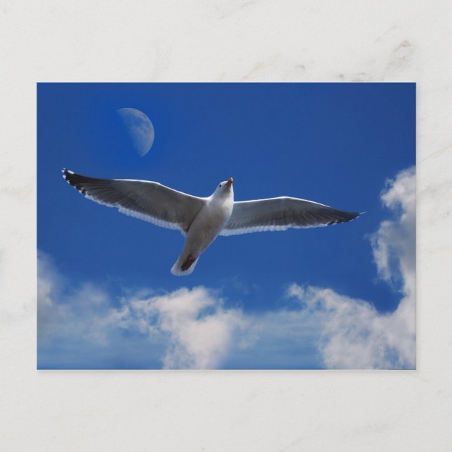 Cartão Postal Venha Voar Comigo (Frente)