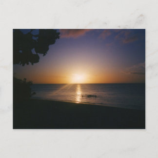 Cartão Postal Venice Beach Sunset