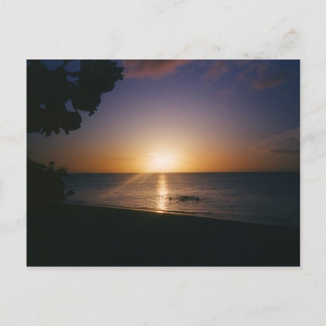 Cartão Postal Venice Beach Sunset (Frente)