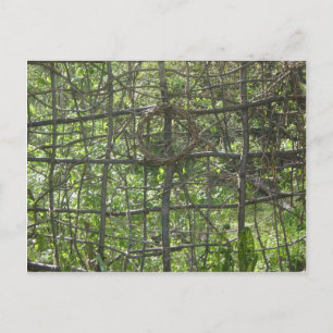 Cartão Postal Ventilador