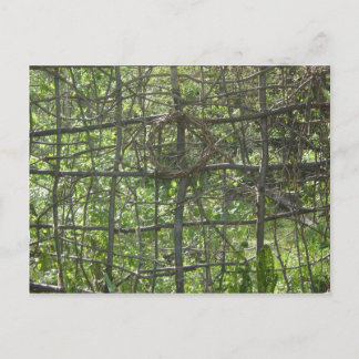 Cartão Postal Ventilador