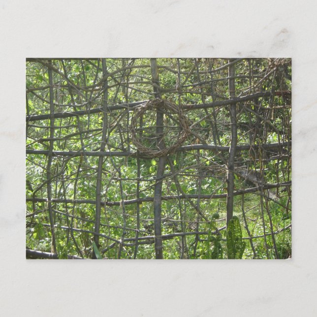 Cartão Postal Ventilador (Frente)