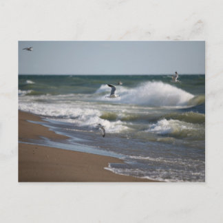 Cartão Postal Vento