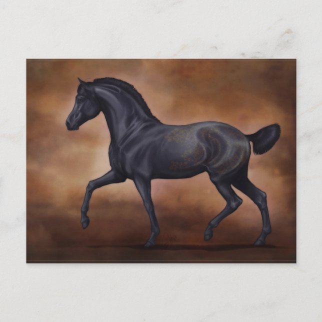 Cartão postal Ventus (Frente)