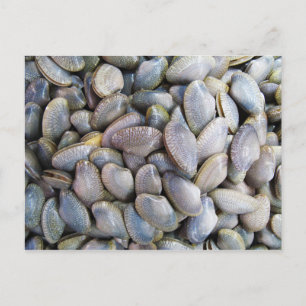 Cartão Postal Venus Clam [ห อ ย ล า ย]