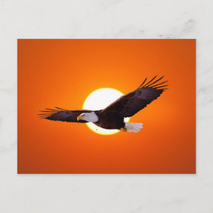 Cartão Postal Vênus surreal em trânsito