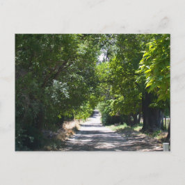 Cartão Postal Verão