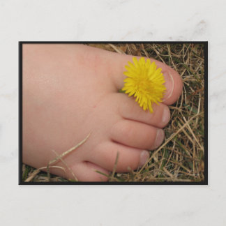 Cartão Postal Verão