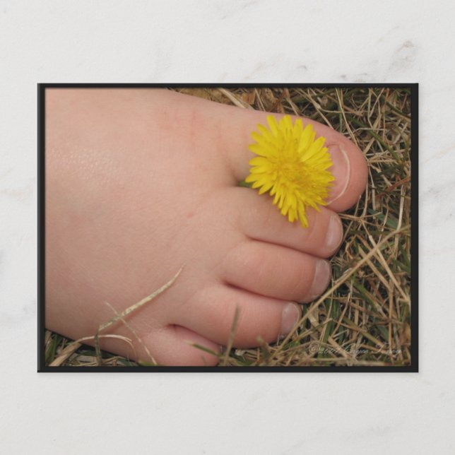 Cartão Postal Verão (Frente)