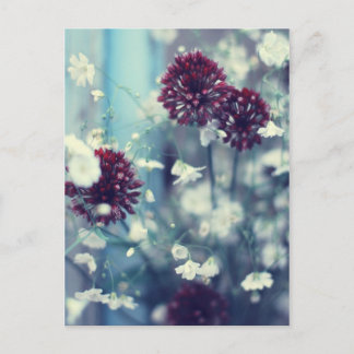 Cartão Postal Verão congelado