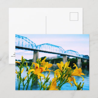 Cartão Postal Verão em Chattanooga, TN - Ponte da Rua Walnut