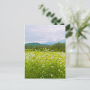 Cartão Postal Verão em Hälsingland - Helsingia
