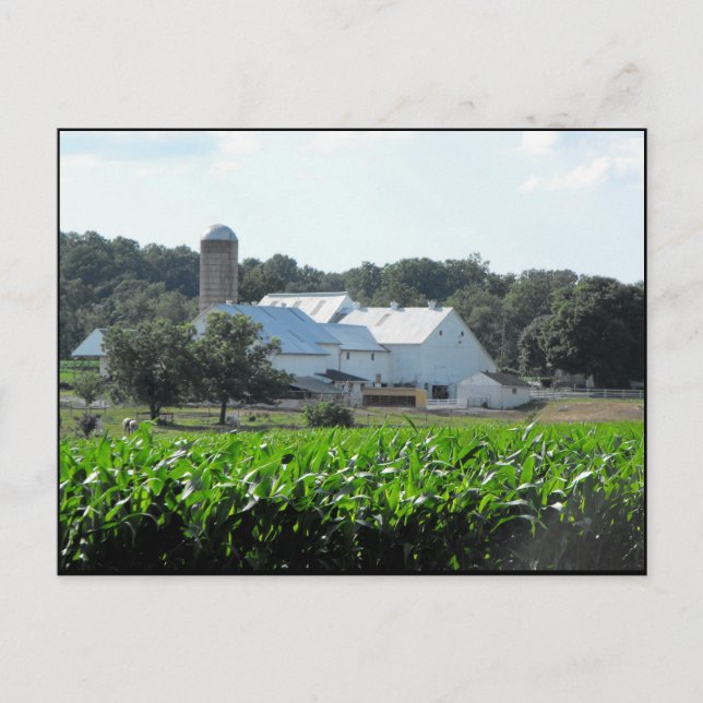 Cartão Postal ~ Verão em Lancaster County ~ 46 (Frente)