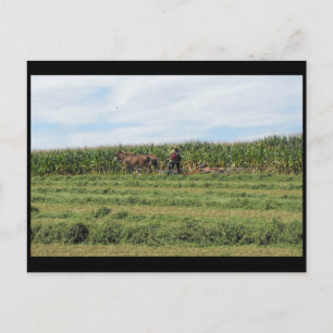 Cartão Postal ~ Verão em Lancaster County ~ 76