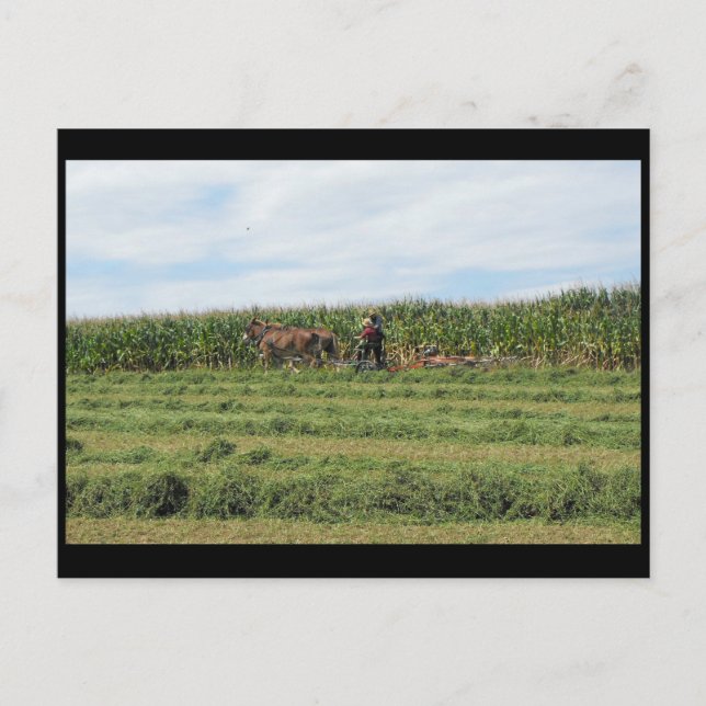 Cartão Postal ~ Verão em Lancaster County ~ 76 (Frente)