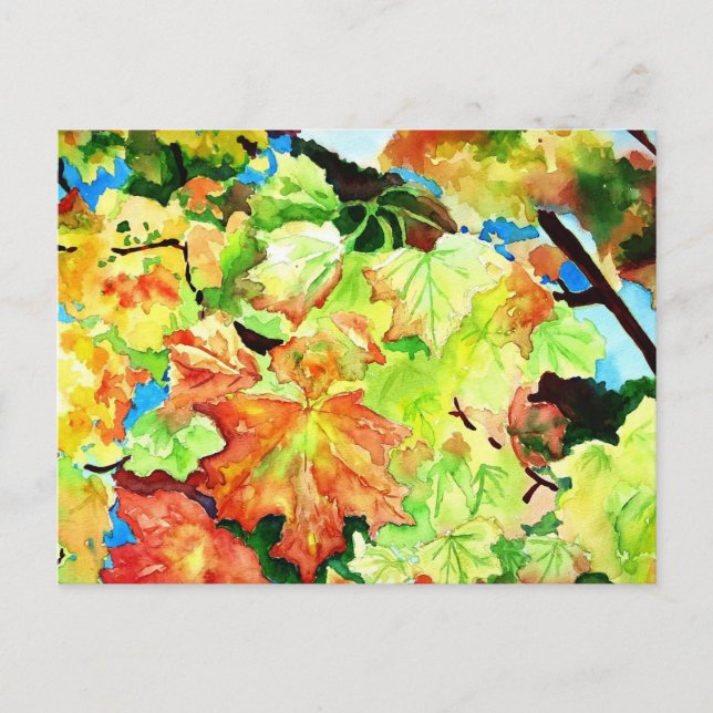 Cartão Postal verão indiano (Frente)