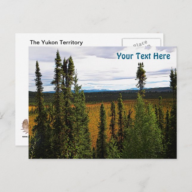 Cartão Postal Verão na Taiga (Frente/Verso)