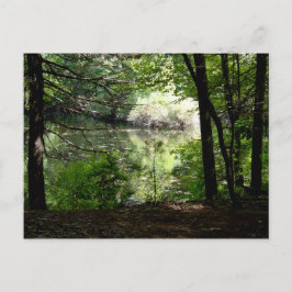 Cartão Postal Verão tardio em Walden Pond