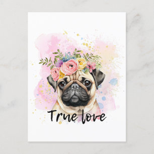 Cartão Postal Verdadeiro amor de cachorro, melhor amigo cão