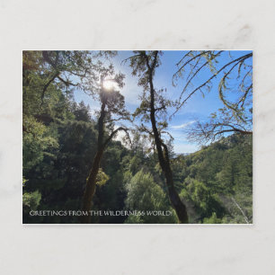 CARTÃO POSTAL VERDADES DO MUNDO DA MULHER!