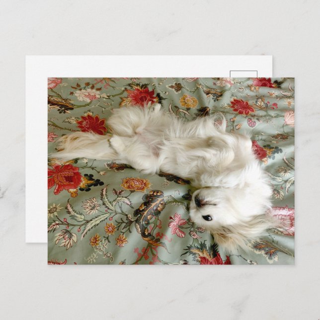 Cartão Postal Verde (Frente/Verso)