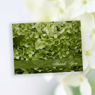 Cartão Postal Verde Annabelle Hydrangea Floral Obrigado