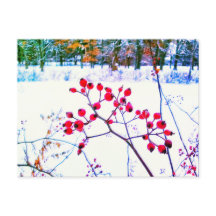 CARTÃO POSTAL VERDE BERRIES