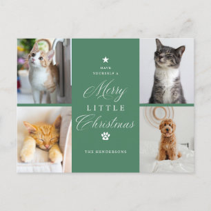 Cartão postal verde de Natal de Pet de 4 fotos