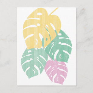 Cartão Postal Verde Tropical - Folhas de Monstera