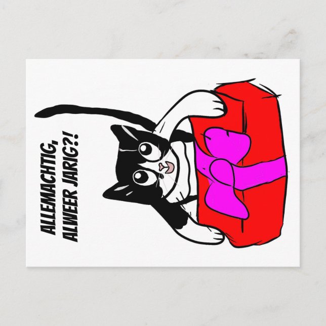 Cartão Postal verjaardagskaart met Yuki / birthdaycard  (Frente)