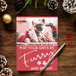 Cartão Postal Vermelho de Natal peluche com fotos e patas branca<br><div class="desc">Este cartão de saudação de Natal é perfeito para todos os amantes de cães! Ele mostra a foto de um cachorrinho francês giro com boné de Natal e decorações de férias. O texto branco sobre fundo festivo vermelho diz "Que seus dias sejam Furry e brilhante"</div>