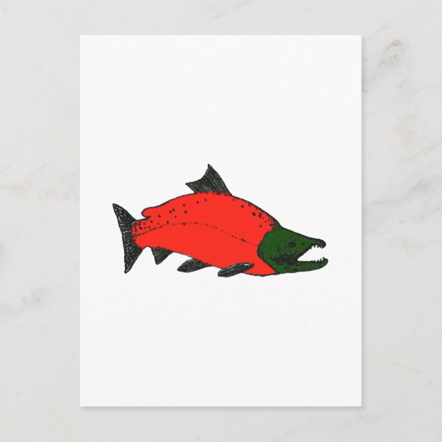 Cartão Postal Vermelho - Sockeye Salmon Art (Frente)
