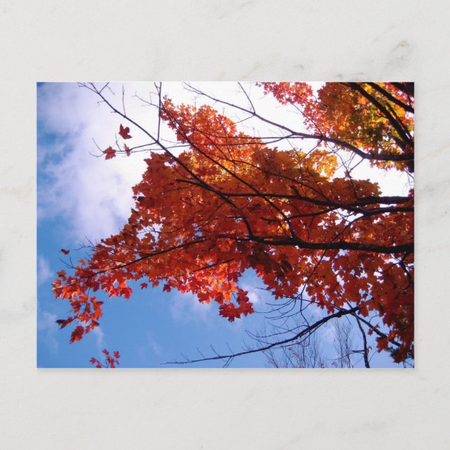 Cartão postal Vermont 1 (Frente)