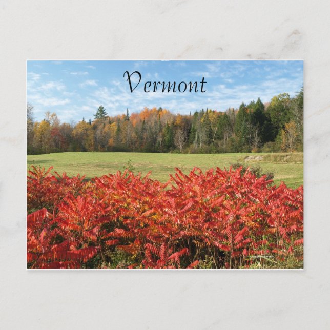 Cartão Postal Vermont em Cor (Frente)