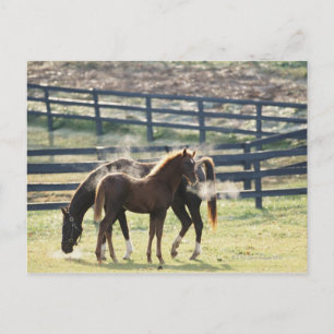 Cartão Postal Vermont, EUA