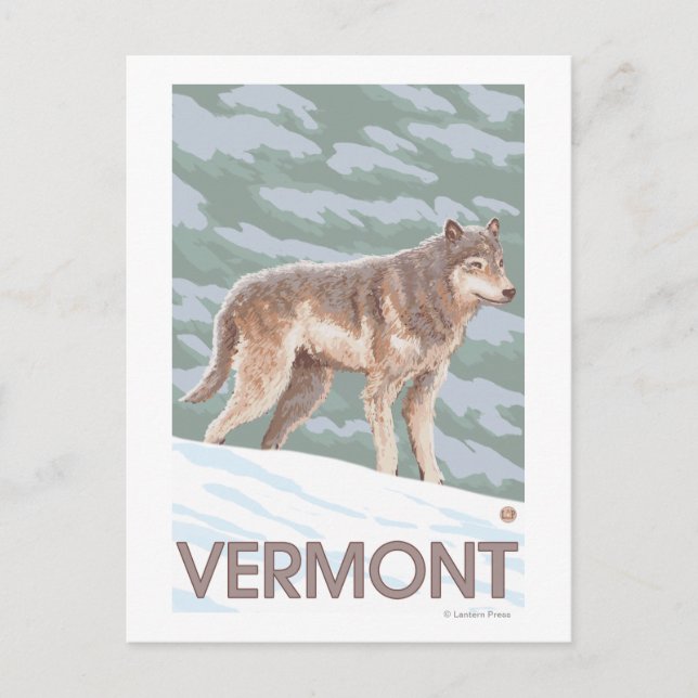 Cartão Postal VermontWolf Scene (Frente)