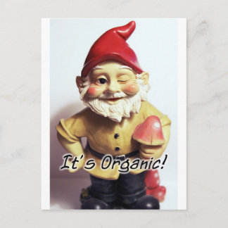 Cartão Postal Veronica, o Gnomo