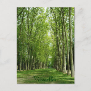 Cartão Postal Versailles Trees Gardens Romantic Path France