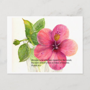 Cartão Postal Verso bíblia com uma flor "Hibiscus"