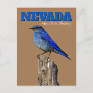 Cartão Postal Vertical Bluebird de Nevada