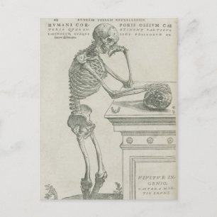 Cartão Postal Vesalius Imagem Esquelética
