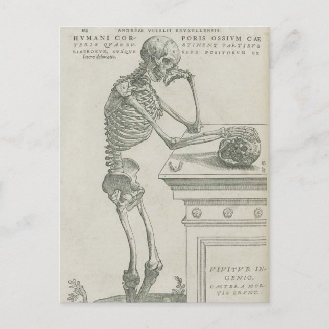 Cartão Postal Vesalius Imagem Esquelética (Frente)