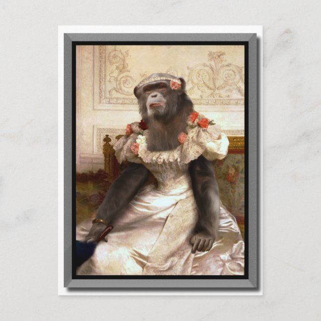 Cartão Postal Vestido Bouguereau de Chimp Cambaceres (Frente)