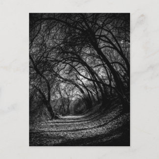 Cartão Postal Via Escura
