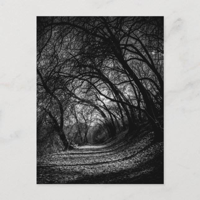 Cartão Postal Via Escura (Frente)