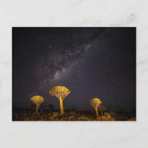 Cartão Postal Via Láctea Quiver Tree   Keetmanshoop Namíbia