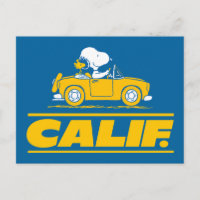 Viagem à Califórnia de Snoopy e Woodstock