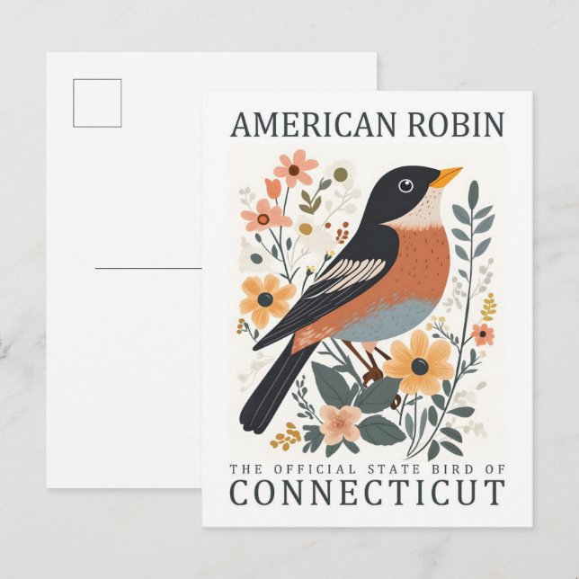 Cartão Postal Viagem Americano Robin Bird, do Connecticut USA (Frente/Verso)