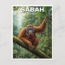 Viagem ao Orangotango de Sabah na Malásia